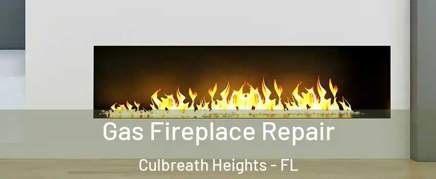 Gas Fireplace Repair Culbreath Heights - FL