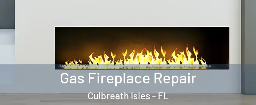 Gas Fireplace Repair Culbreath Isles - FL