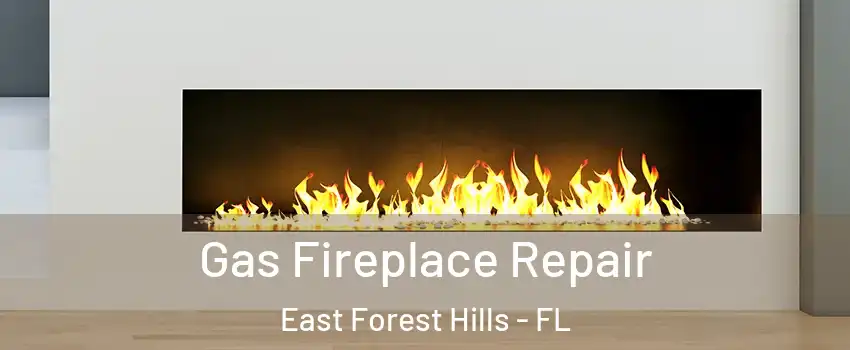 Gas Fireplace Repair East Forest Hills - FL