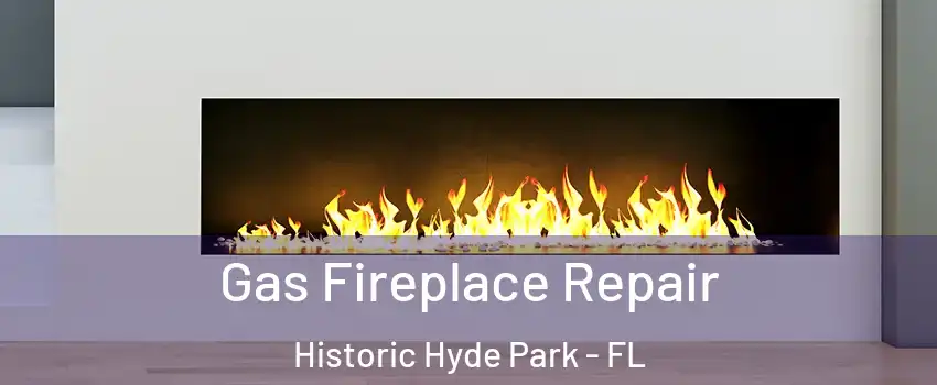 Gas Fireplace Repair Historic Hyde Park - FL