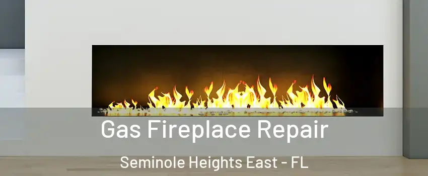 Gas Fireplace Repair Seminole Heights East - FL