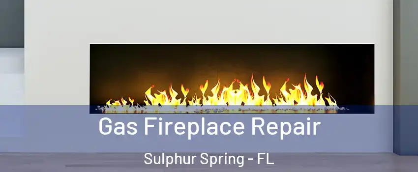 Gas Fireplace Repair Sulphur Spring - FL