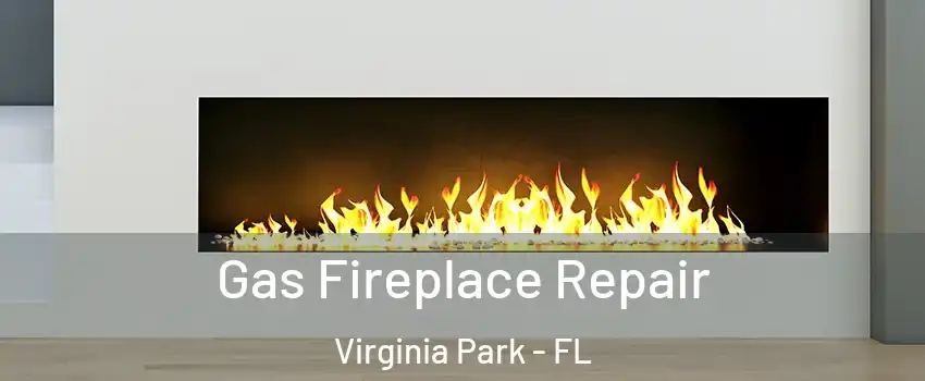 Gas Fireplace Repair Virginia Park - FL