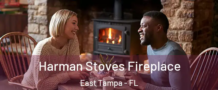 Harman Stoves Fireplace East Tampa - FL