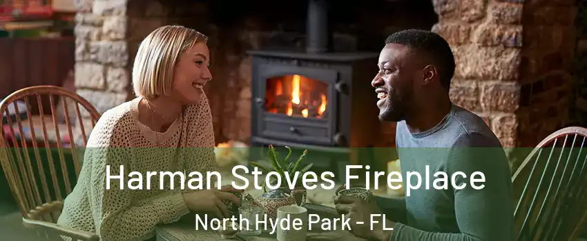 Harman Stoves Fireplace North Hyde Park - FL