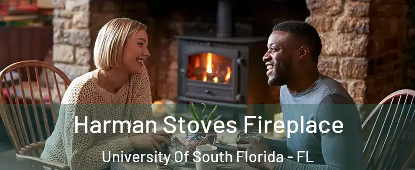 Harman Stoves Fireplace University Of South Florida - FL