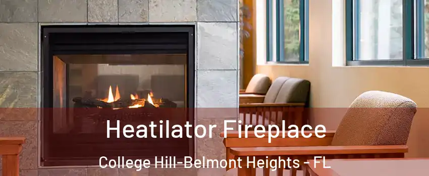 Heatilator Fireplace College Hill-Belmont Heights - FL