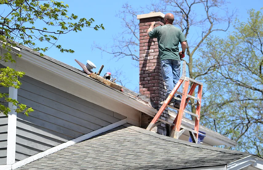 Chimney & Fireplace Inspections Services in Tampa, FL