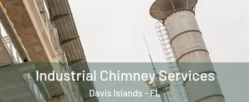 Industrial Chimney Services Davis Islands - FL