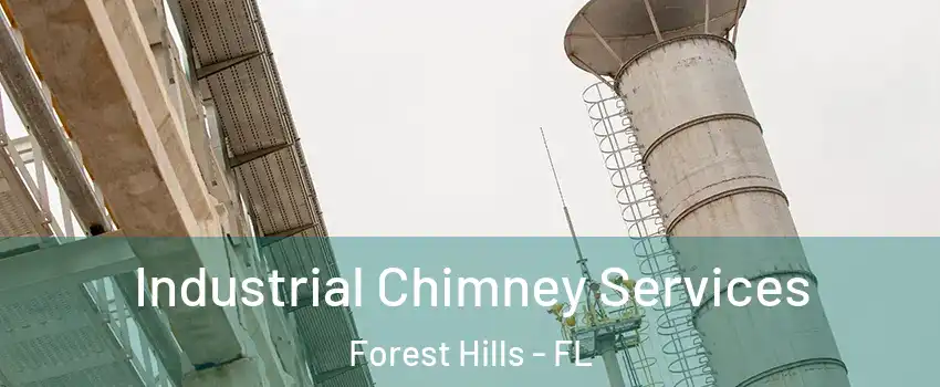 Industrial Chimney Services Forest Hills - FL