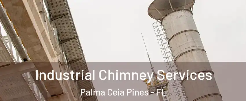 Industrial Chimney Services Palma Ceia Pines - FL