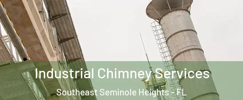 Industrial Chimney Services Southeast Seminole Heights - FL