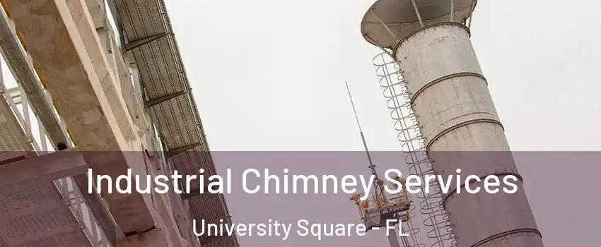 Industrial Chimney Services University Square - FL