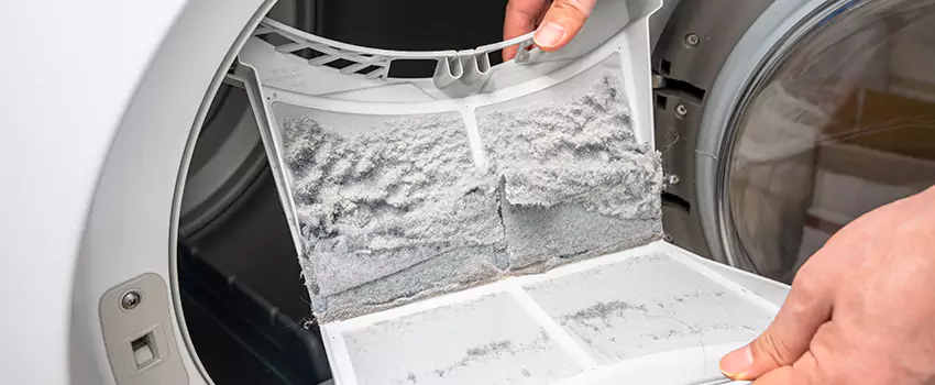 Best Dryer Lint Removal Company in Seminole Heights East, Florida