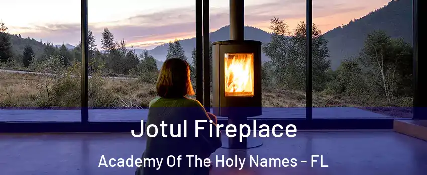 Jotul Fireplace Academy Of The Holy Names - FL