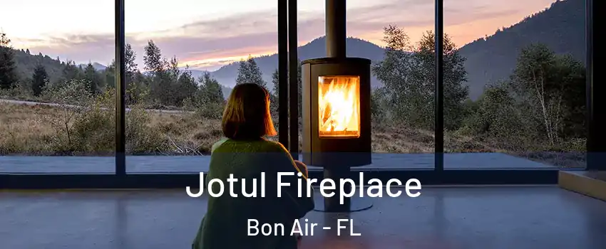 Jotul Fireplace Bon Air - FL