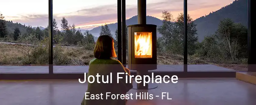 Jotul Fireplace East Forest Hills - FL