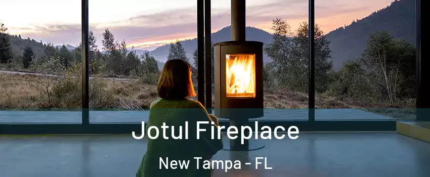 Jotul Fireplace New Tampa - FL