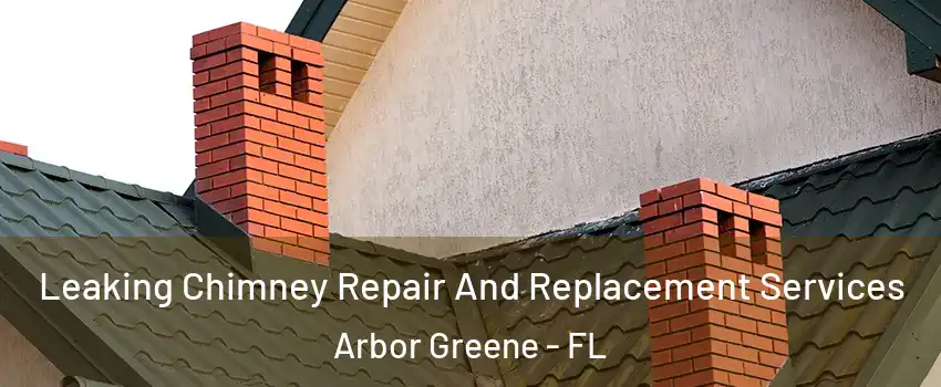 Leaking Chimney Repair And Replacement Services Arbor Greene - FL