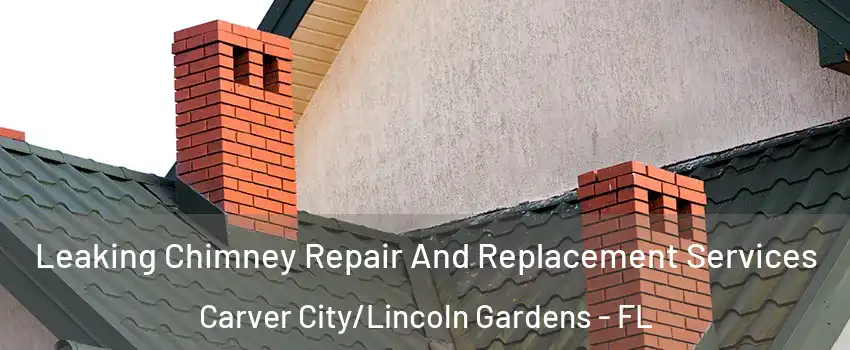 Leaking Chimney Repair And Replacement Services Carver City/Lincoln Gardens - FL