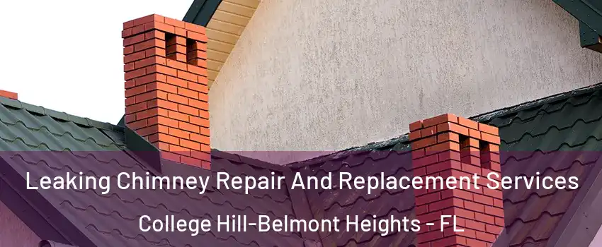 Leaking Chimney Repair And Replacement Services College Hill-Belmont Heights - FL