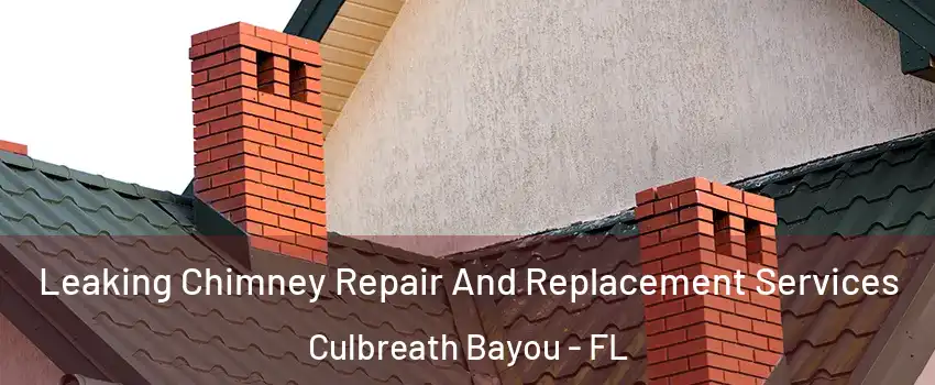 Leaking Chimney Repair And Replacement Services Culbreath Bayou - FL