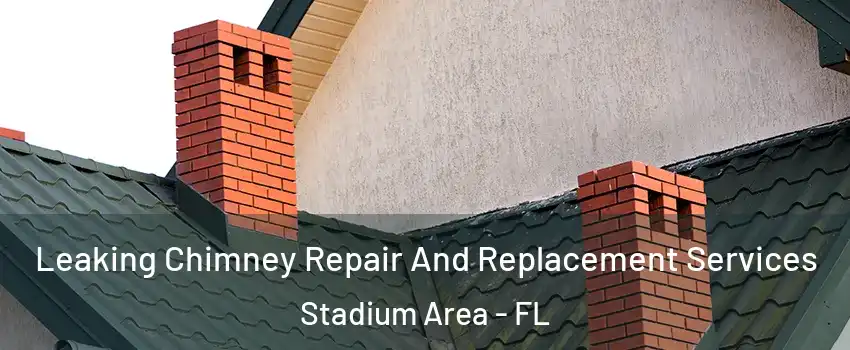 Leaking Chimney Repair And Replacement Services Stadium Area - FL