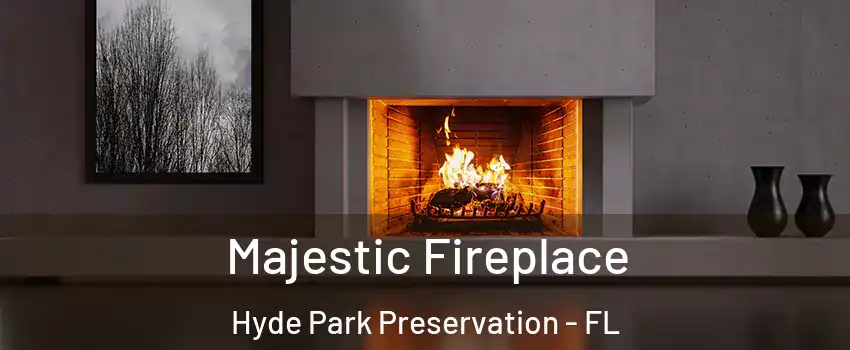 Majestic Fireplace Hyde Park Preservation - FL