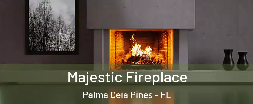 Majestic Fireplace Palma Ceia Pines - FL