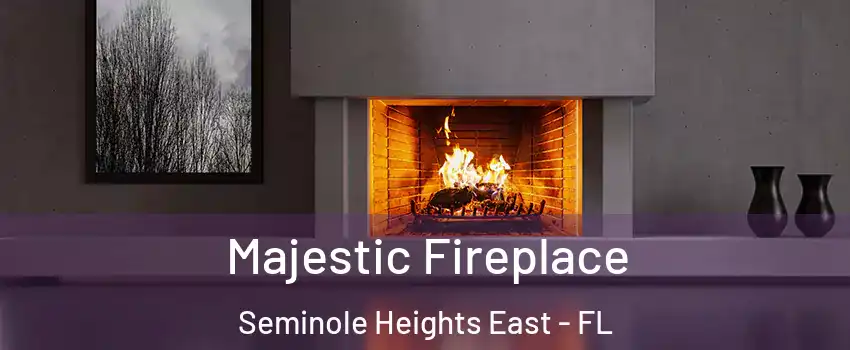 Majestic Fireplace Seminole Heights East - FL