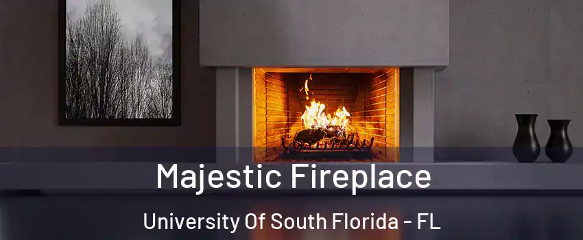 Majestic Fireplace University Of South Florida - FL