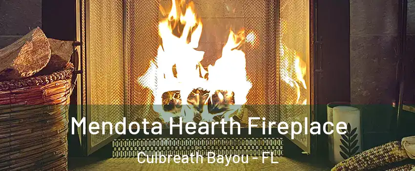 Mendota Hearth Fireplace Culbreath Bayou - FL