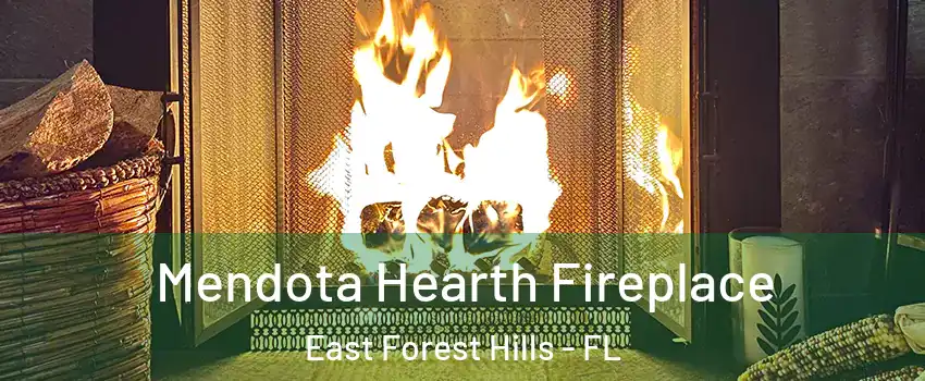 Mendota Hearth Fireplace East Forest Hills - FL