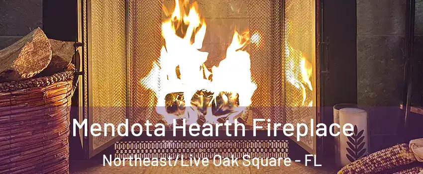 Mendota Hearth Fireplace Northeast/Live Oak Square - FL