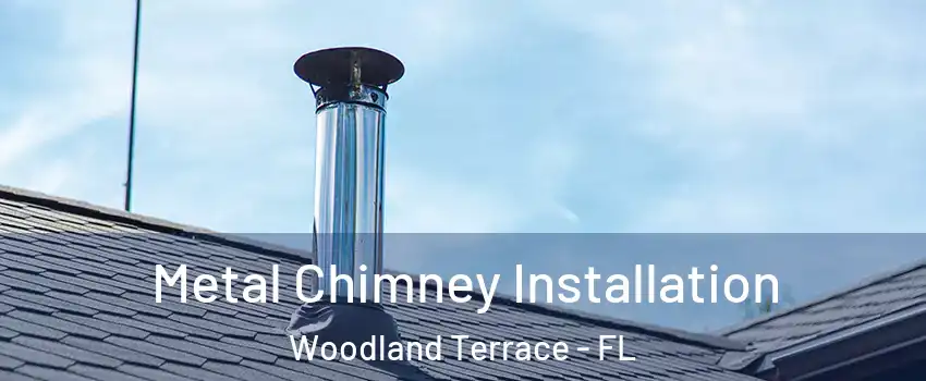 Metal Chimney Installation Woodland Terrace - FL