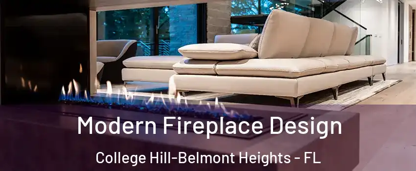 Modern Fireplace Design College Hill-Belmont Heights - FL