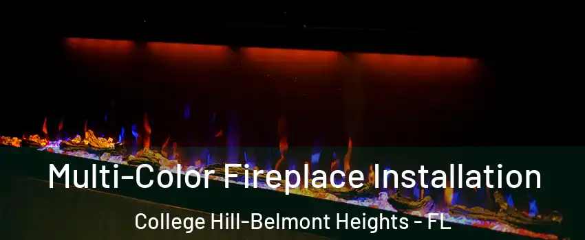 Multi-Color Fireplace Installation College Hill-Belmont Heights - FL