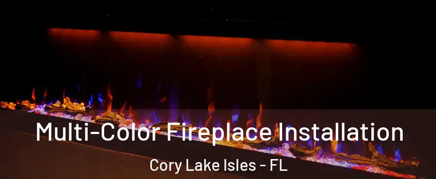 Multi-Color Fireplace Installation Cory Lake Isles - FL