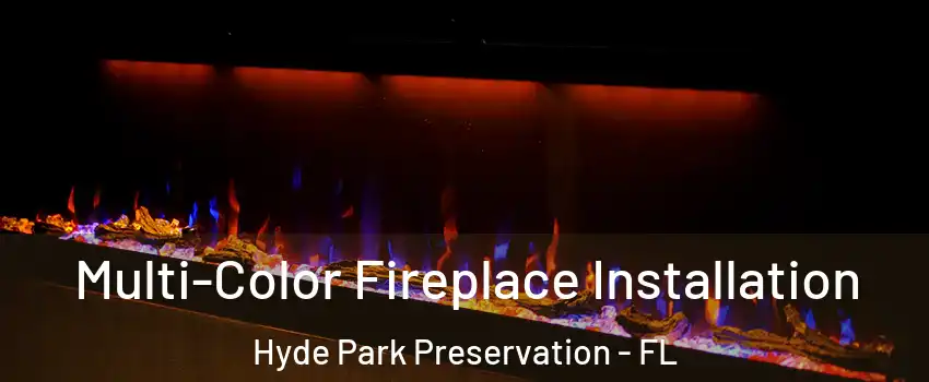 Multi-Color Fireplace Installation Hyde Park Preservation - FL