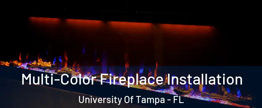 Multi-Color Fireplace Installation University Of Tampa - FL