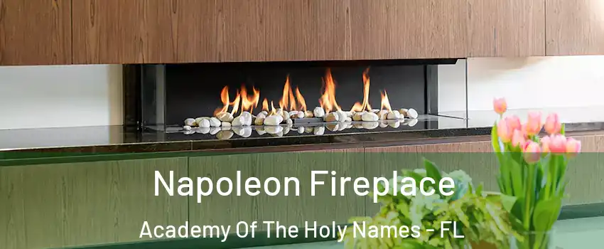 Napoleon Fireplace Academy Of The Holy Names - FL