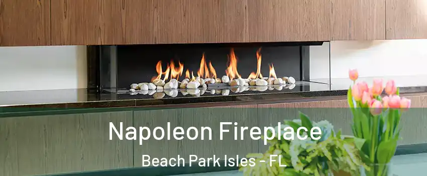 Napoleon Fireplace Beach Park Isles - FL