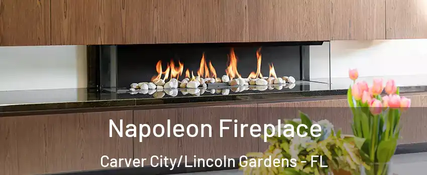 Napoleon Fireplace Carver City/Lincoln Gardens - FL