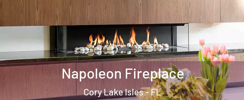 Napoleon Fireplace Cory Lake Isles - FL