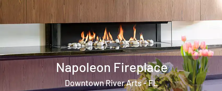 Napoleon Fireplace Downtown River Arts - FL