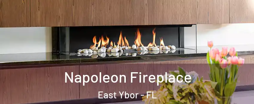 Napoleon Fireplace East Ybor - FL