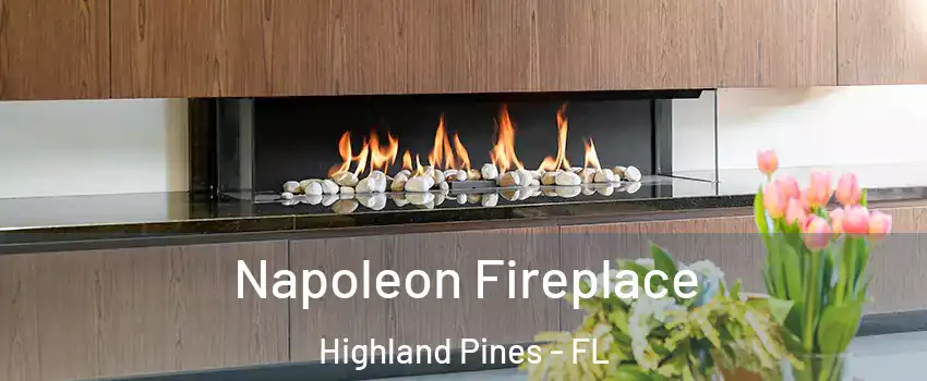 Napoleon Fireplace Highland Pines - FL