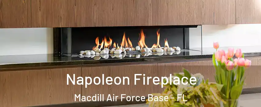 Napoleon Fireplace Macdill Air Force Base - FL