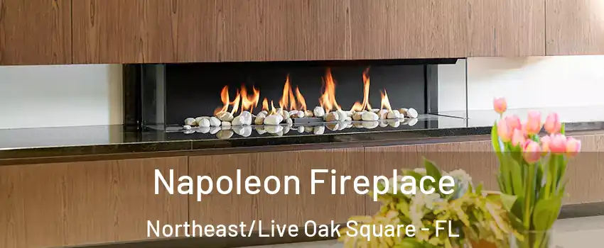 Napoleon Fireplace Northeast/Live Oak Square - FL