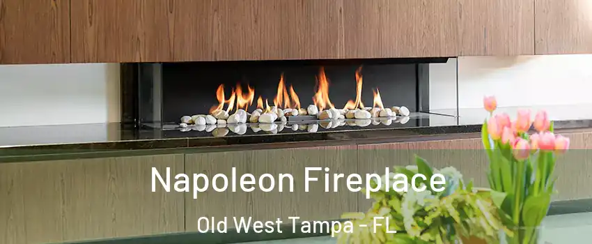 Napoleon Fireplace Old West Tampa - FL